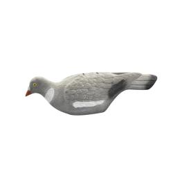 Appelant pigeon floqu&eacute; coquille