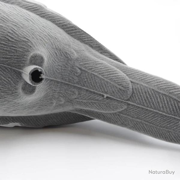 Appelant pigeon floqu� coquille