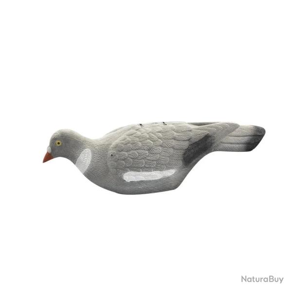 Appelant pigeon floqu� coquille