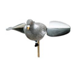 Appelant pigeon floqu&eacute; &agrave; ailes tournantes