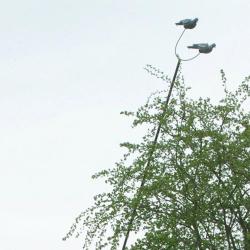 M&acirc;t &agrave; pigeons en aluminium r&eacute;sistant et ultra l&eacute;ger, noir 6 m