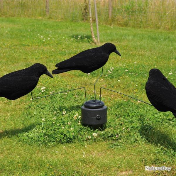 Man�ge � Corbeaux + 3 blettes de corbeaux floqu�s