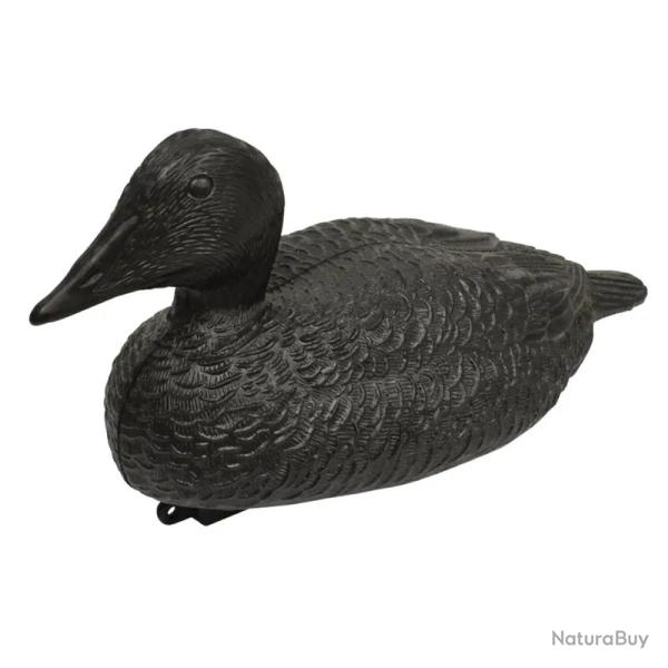 Appelant eider mouss� avec quille lest�e