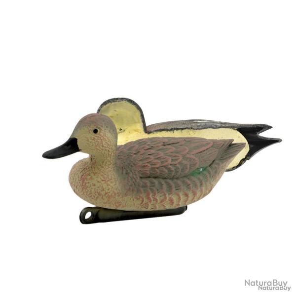 Sarcelle d'hiver femelle