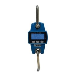 Peson &eacute;lectronique 250 kg boitier m&eacute;tal graduation en 50g