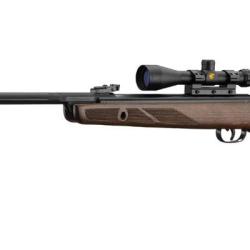 Carabine GAMO Hunter 440 AS 4.5 mm (19.9 joules) + lunette 3-9 x 40