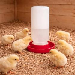 Abreuvoir sipho&iuml;de poussins et cailles 1 L fermeture &agrave; vis