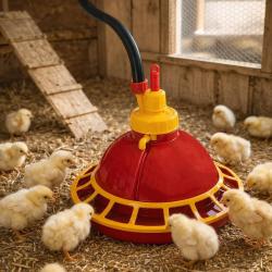 Abreuvoir automatique poussins/cailles &agrave; suspendre