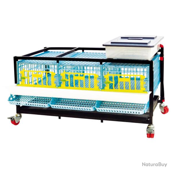 Cage pour cailles pondeuses - CIMUKA