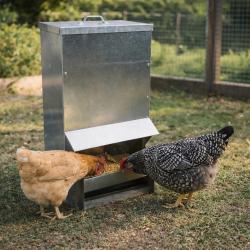 Mangeoire &agrave; tr&eacute;mie galvanis&eacute;e Gaun 30 Kg - 31 x 22 x 59 cm