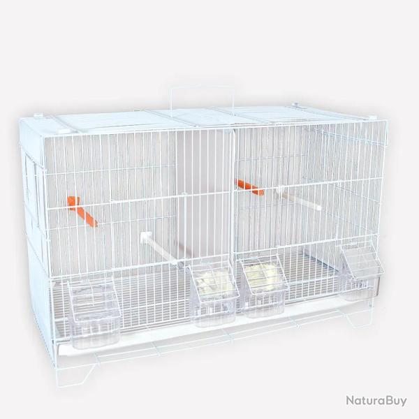 Cage d'levage canaris