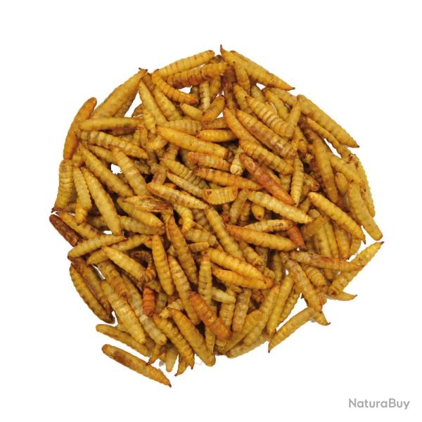 Alimentation volailles Larves souffl�es 1 Litre Hermetia Illucens