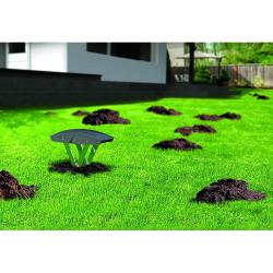 Pi&egrave;ge &agrave; taupe Supercat&reg; - Simple et tr&egrave;s efficace