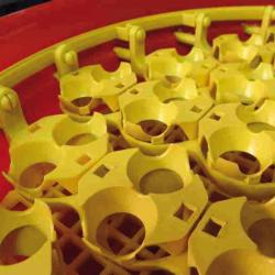 Adaptateurs pour oeufs de cailles