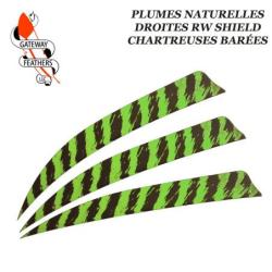 GATEWAY FEATHERS Plumes naturelles barr&eacute;es RW Shield 5" pouces Barr&eacute;e Chartreuse