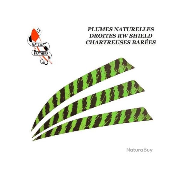 GATEWAY FEATHERS Plumes naturelles barr�es RW Shield 5" pouces Barr�e Chartreuse