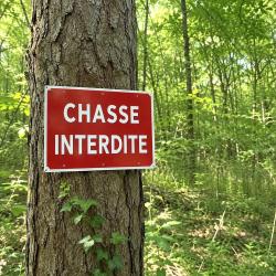 Panneau &laquo; Chasse interdite &raquo; en aluminium 30 x 20 cm &agrave; l'unit&eacute;