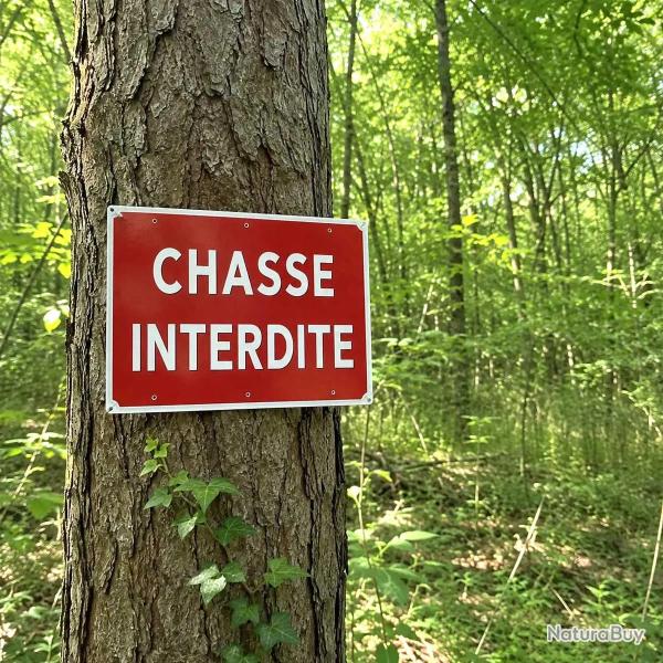 Panneau � Chasse interdite � en aluminium 30 x 20 cm � l'unit�