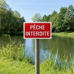 Panneau &laquo; P&ecirc;che interdite &raquo; en aluminium 30 x 20 cm &agrave; l'unit&eacute;