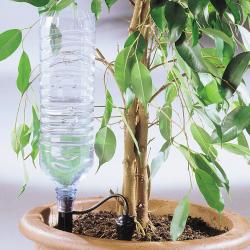 Arrosage goutte &agrave; goutte bouteille