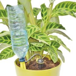 Arrosage goutte &agrave; goutte bouteille