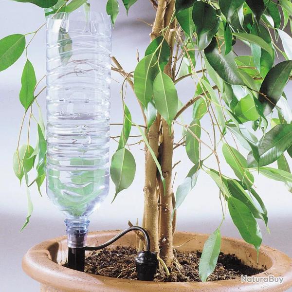 Arrosage goutte � goutte bouteille