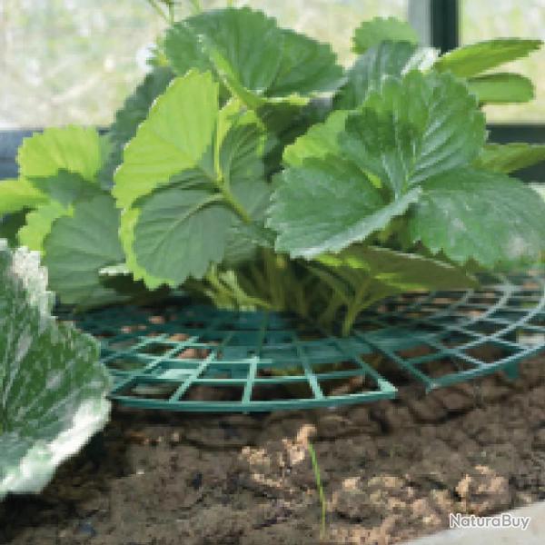 Supports pour fraisiers Lot de 5