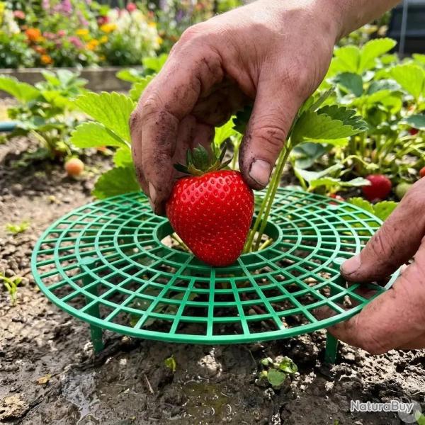 Supports pour fraisiers Lot de 5