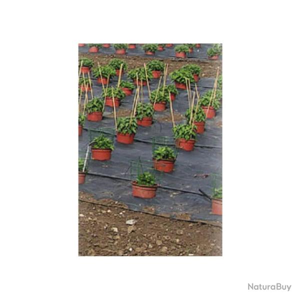 Toile de paillage perfor� pour fruits et l�gumes largeur 1,30m (au m�tre)