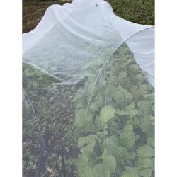 Filet anti-insectes pour plantes et arbres fruitiers