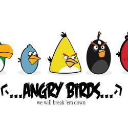 Angry Birds Housse iPad Mini Tablette 7" Samsung Asus Sony Nexus Kindle 20260729082457