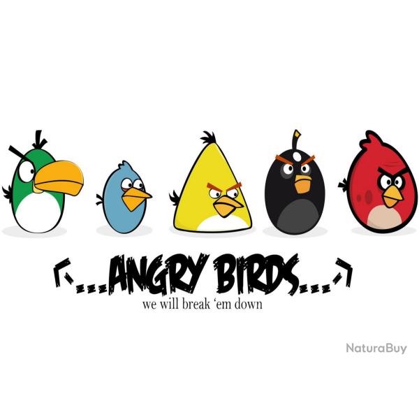 Angry Birds Housse iPad Mini Tablette 7" Samsung Asus Sony Nexus Kindle