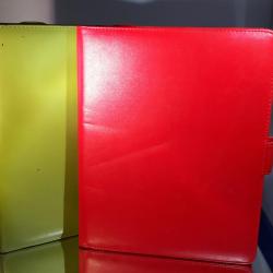 Etui Portefeuille Cuir Apple iPad 1-Vert 20260729082503