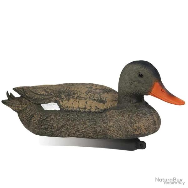 Blette de Chipeau Femelle en plastique rsistant