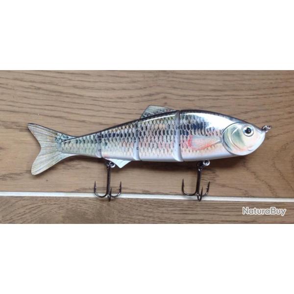poissons nageurs gardon 24 cm pour attraper gros carnassiers