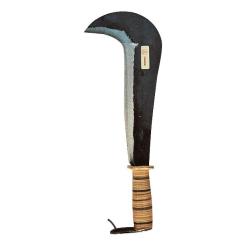 Serpe italienne bec long Rinaldi