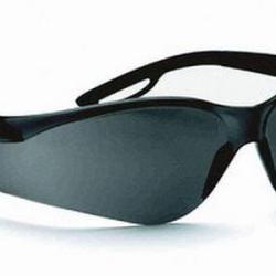 Lunettes solaires de protection Raptor