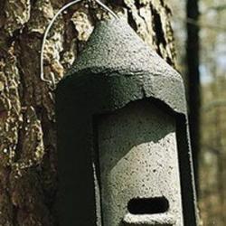 Gite &agrave; chauve-souris