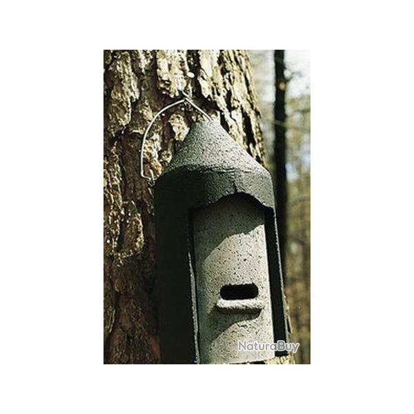 Gite � chauve-souris