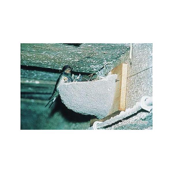 Nichoir hirondelles rustiques n�10