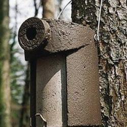 Nichoir sitelle torchepot 3SV