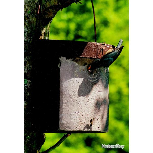 Nichoir � sitelle 5KL