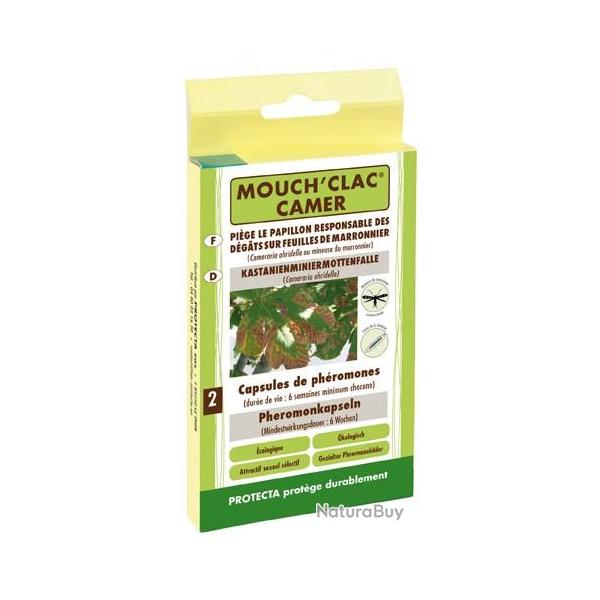 Pi�ge mouch'clac camer marronnier