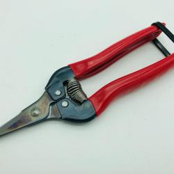 S&eacute;cateur de vendange ARS 300 SSR