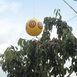 Ballon r&eacute;pulsif oiseaux lot de 3