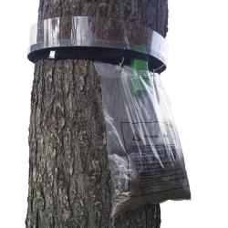 Collier anti chenilles processionnaires