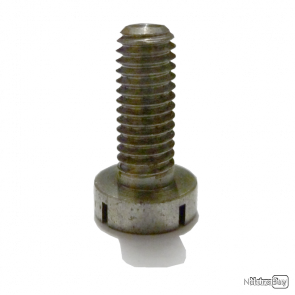 Vis longue sous garde Robust