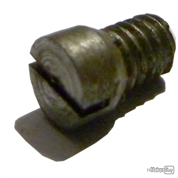 Vis de plaque de recouvrement Id�al