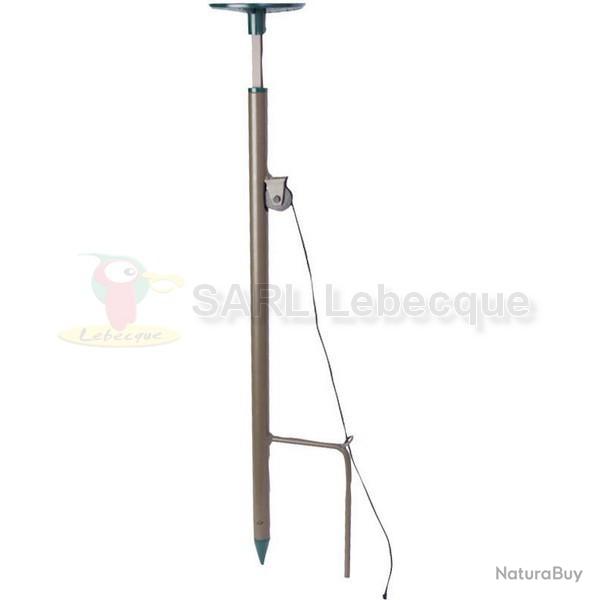 Pompe sol / sol pour Pigeon