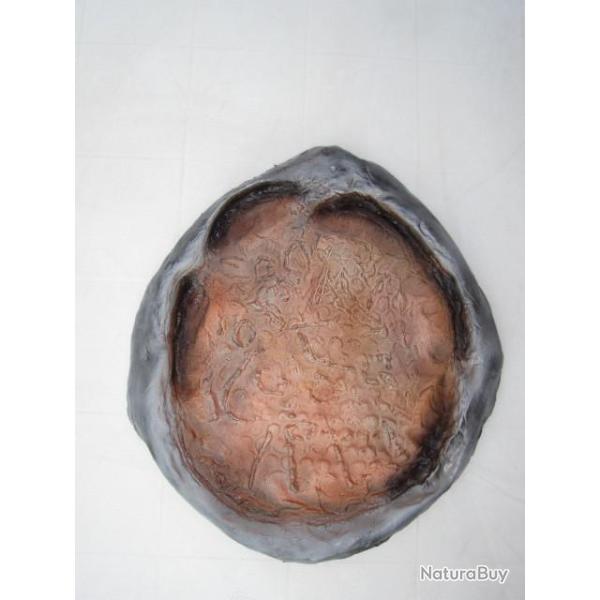 Taxidermie vritable empreinte d'lphant en rsine.